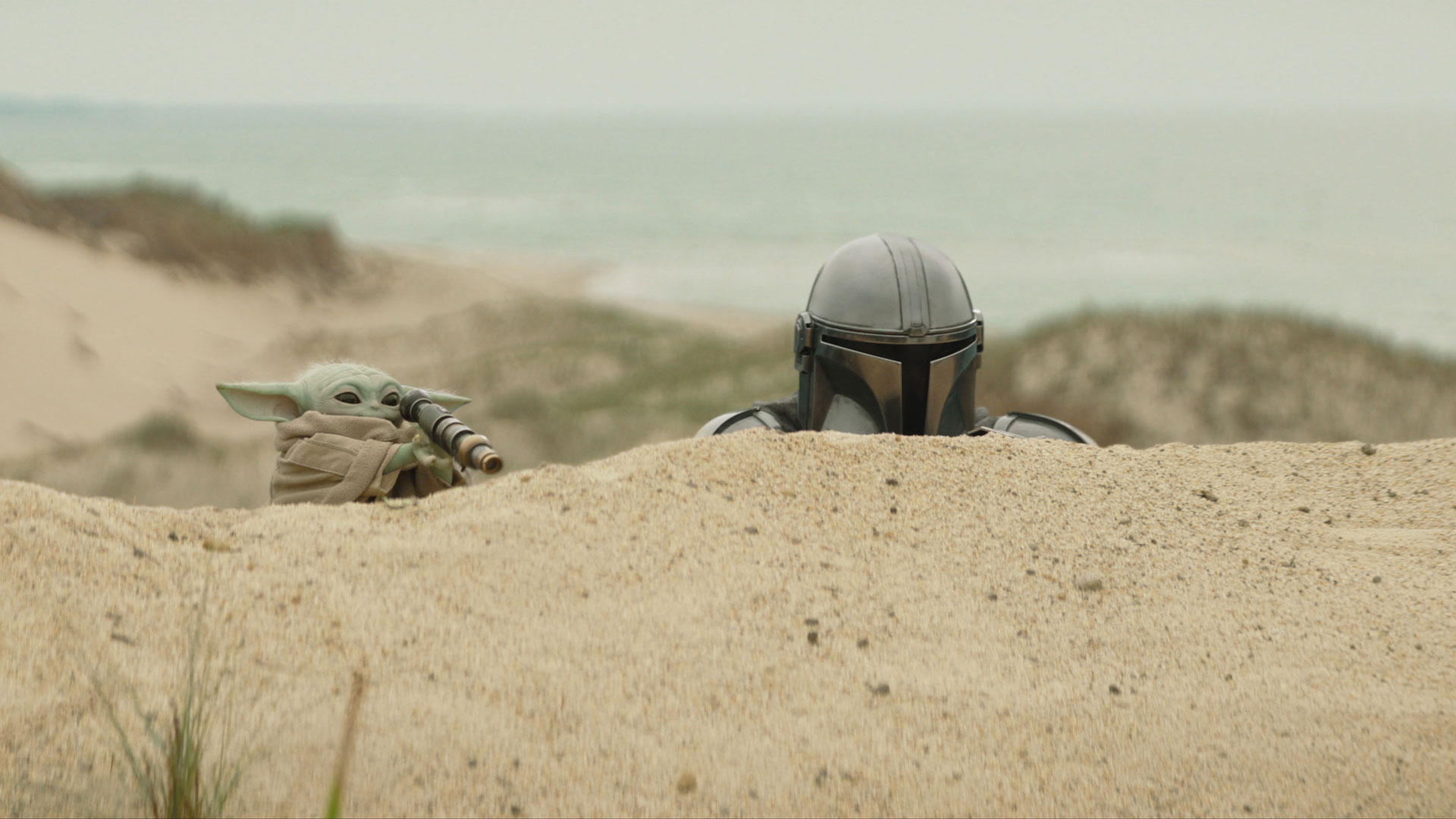 The Mandalorian and Grogu